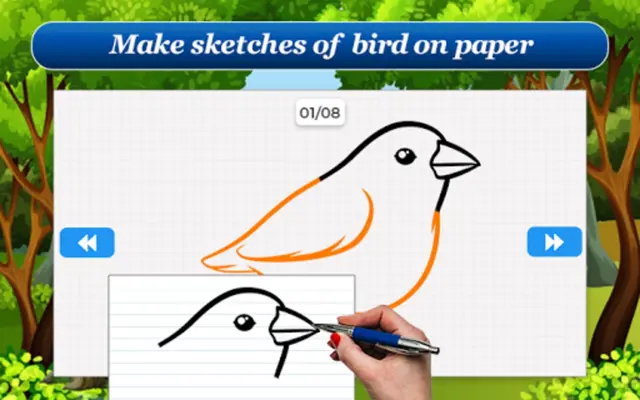 How to Draw Birds Step by Step android App screenshot 5