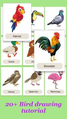 How to Draw Birds Step by Step android App screenshot 6