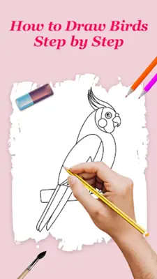 How to Draw Birds Step by Step android App screenshot 7